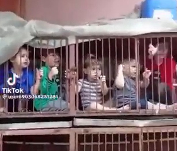 不忍直视：以色列儿童被囚笼中！被俘女兵曝光