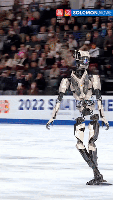 别开生面：AI机器人和人类比赛互扇耳光？