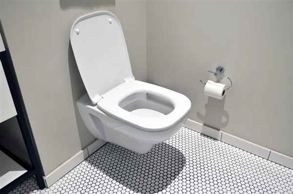 人一生在厕所时间累计超1.5年 盖茨:最关注厕所创新