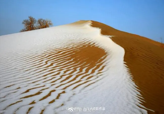 夢幻！中國塔克拉瑪干沙漠罕見成雪海