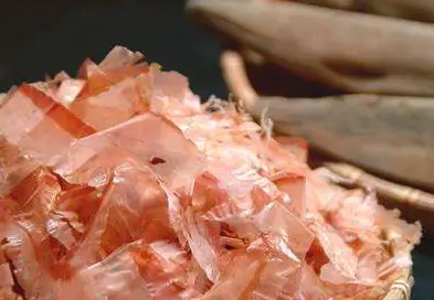 這魚晒乾后是「全球最硬」魚乾，用刀都切不開，卻是日本人的最愛