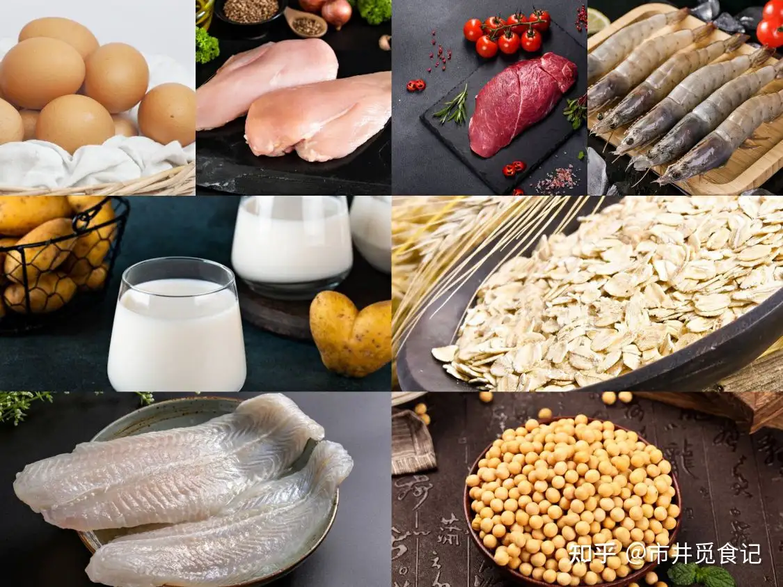 蛋白質被稱「生命元素」，建議中老年人：多吃8種天然高蛋白食物