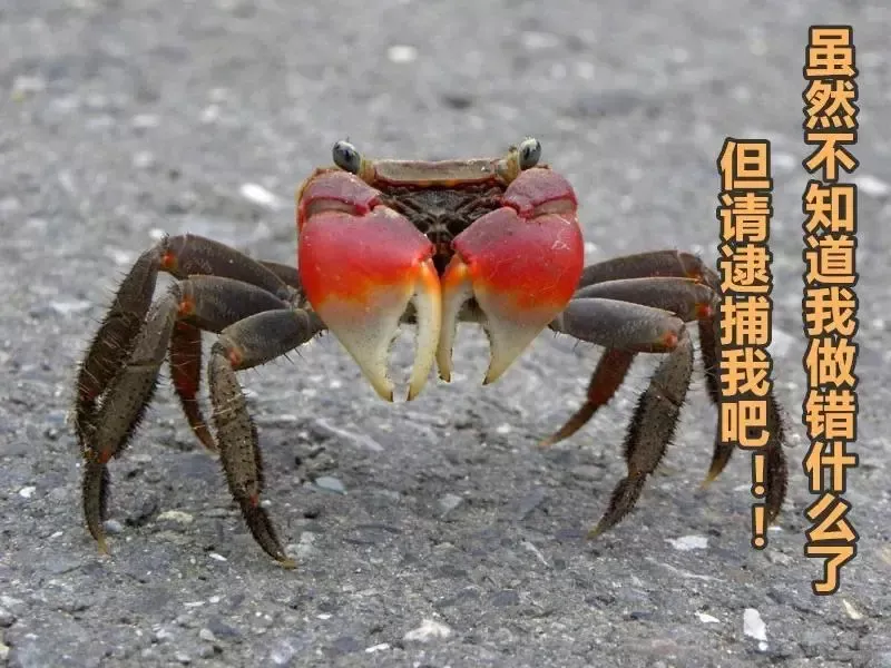 日本愛情旅館「禁止帶螃蟹」，另網友腦洞大開…