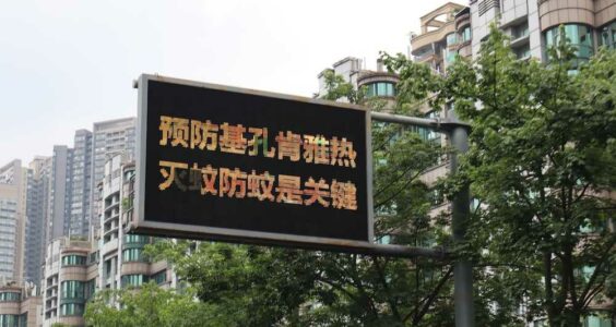 【404文库】建设性意见｜基孔肯雅热确诊超2万例，一个重症都没有