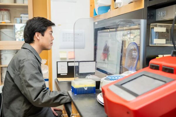里程碑！科學家用AI首度做出「新病毒」