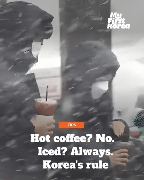 蒙古人哈韓到底有多激進？