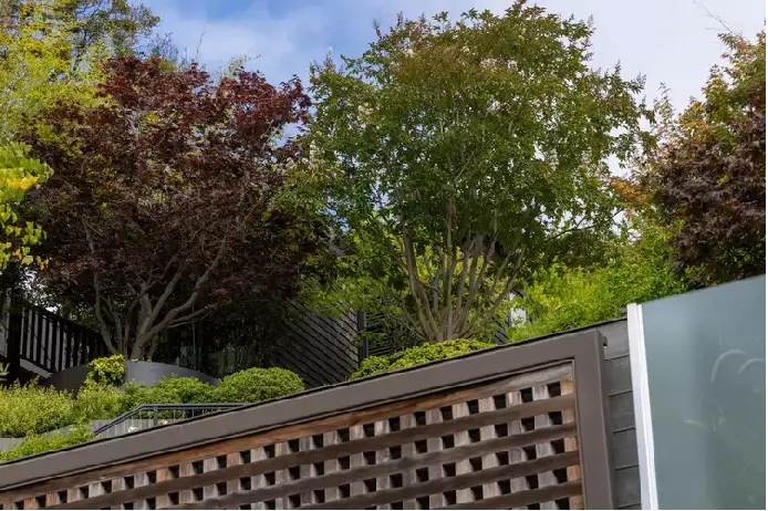 不僅屯槍、有武器級核材料...別和奧特曼對轟