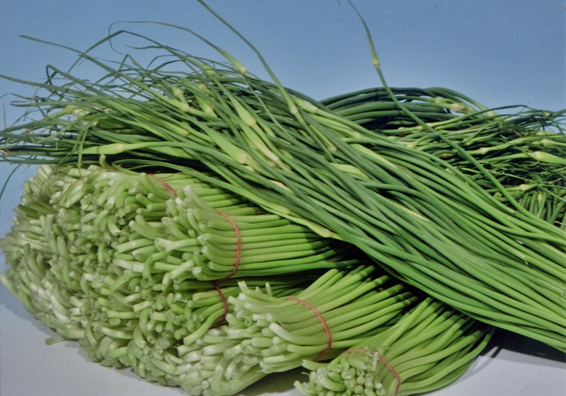 蒜苔、蒜苗、蒜頭老是搞混？其實都是同一種！