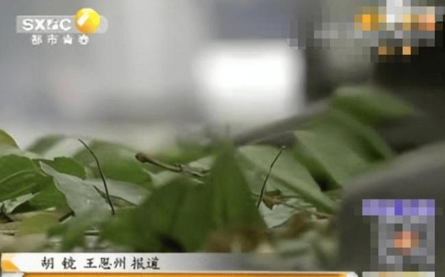 2014年一家四口在華山跳崖，留下2個月大的女兒