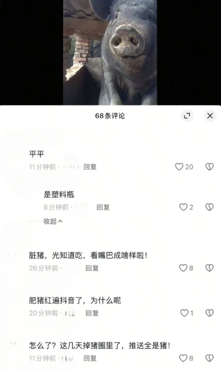 大陸抖音「凌晨造反」現象引熱議