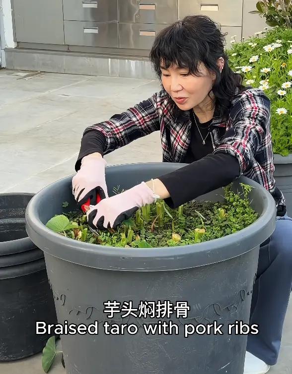 張曼玉香港豪華天台曝光，法國的花園更大氣