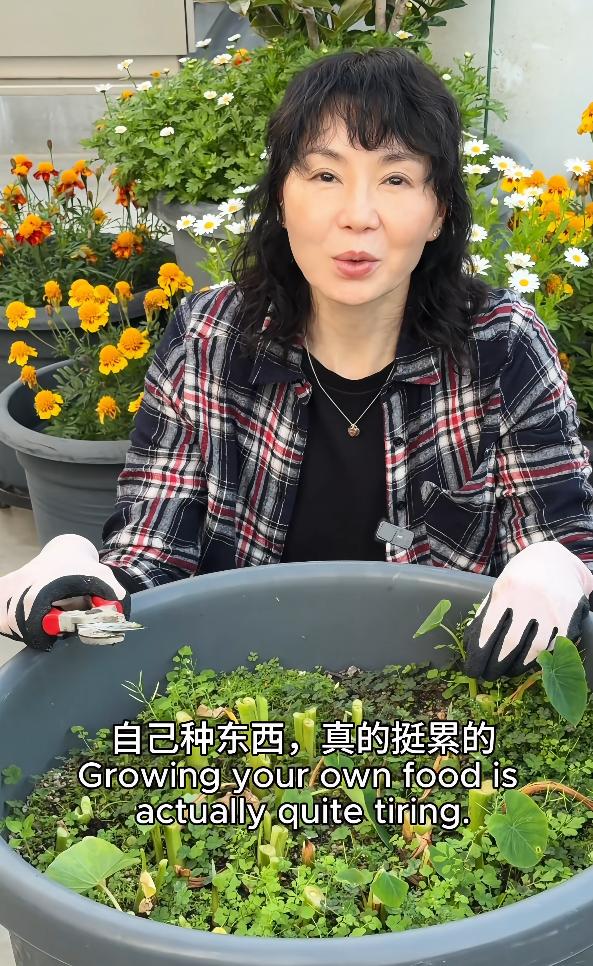 張曼玉香港豪華天台曝光，法國的花園更大氣