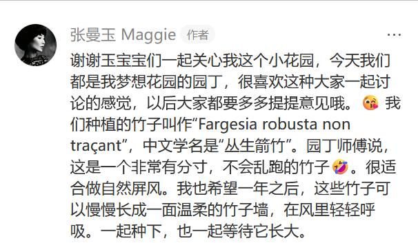張曼玉香港豪華天台曝光，法國的花園更大氣