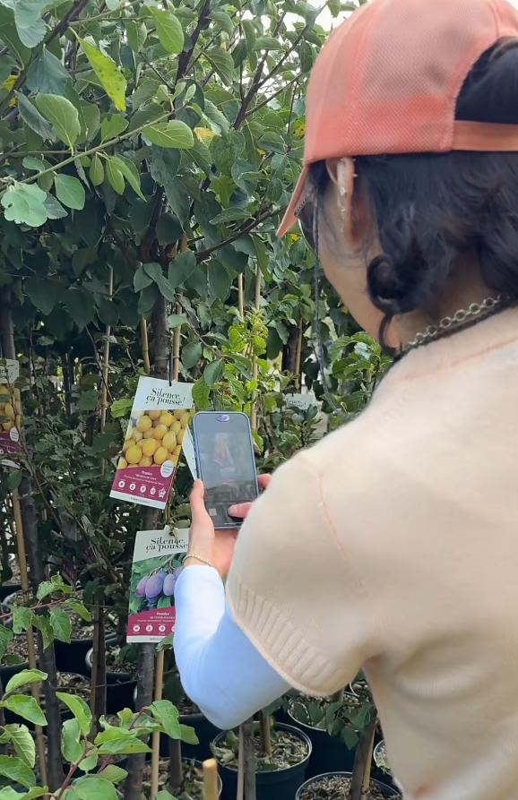 張曼玉香港豪華天台曝光，法國的花園更大氣