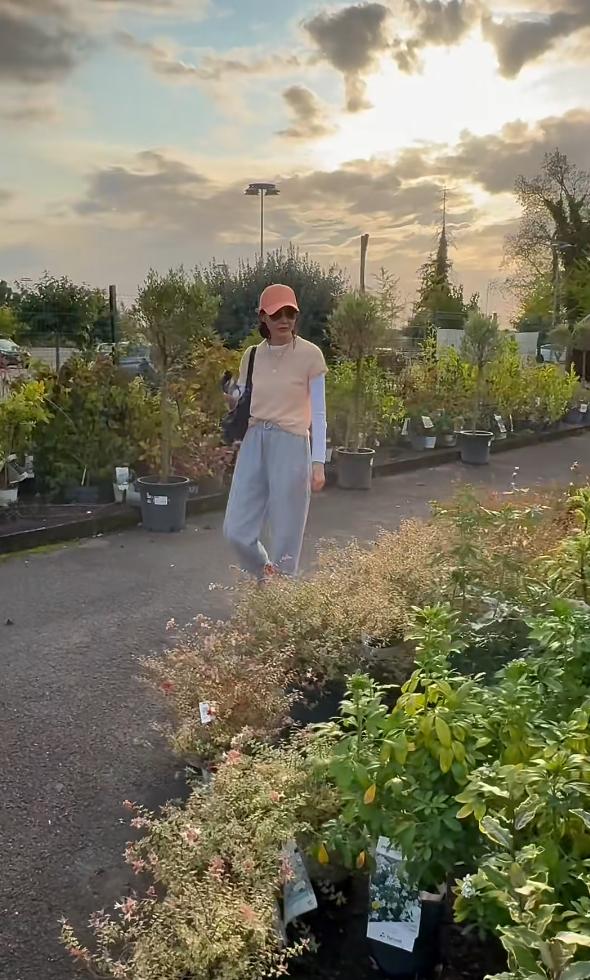 張曼玉香港豪華天台曝光，法國的花園更大氣