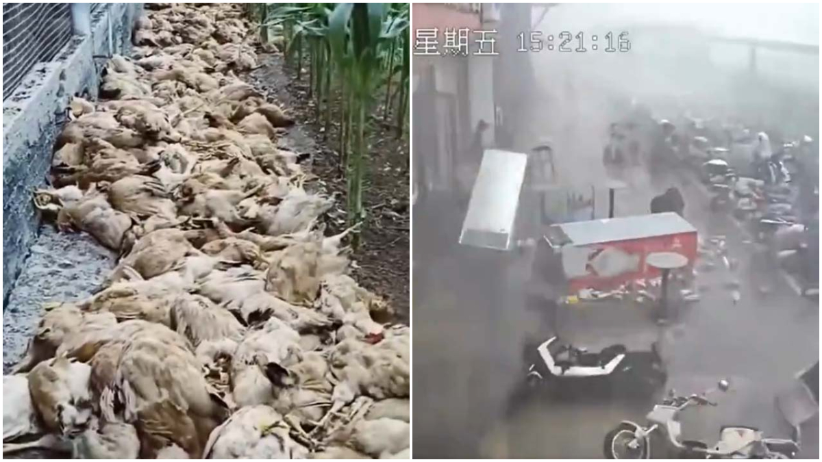 水深火热!广东酷暑加狂风暴雨宛如末日(视频)