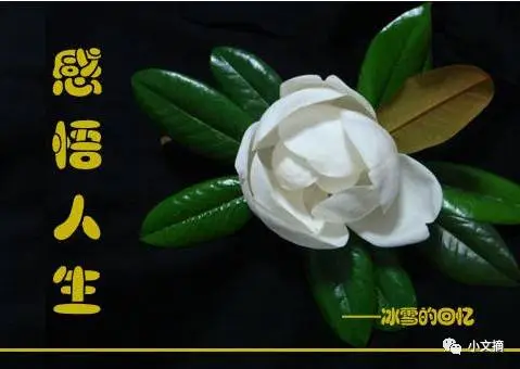 十句金言，句句誅心