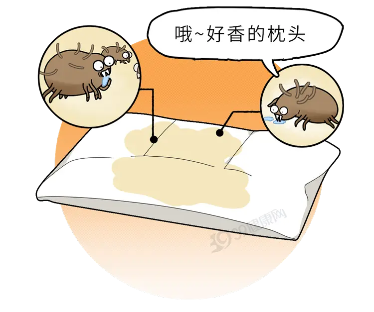 文章配圖-1