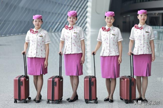 为什幺女乘务员纷纷从高铁离职？内幕被揭开