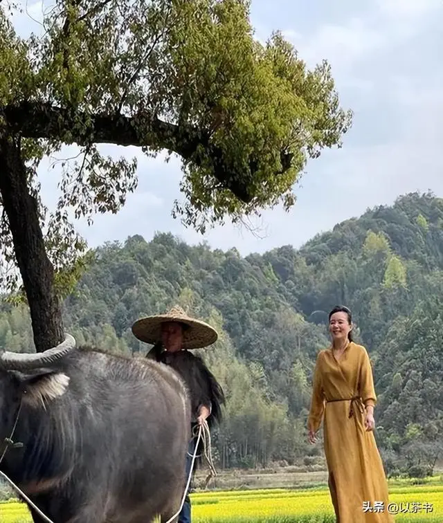 文章配圖-32