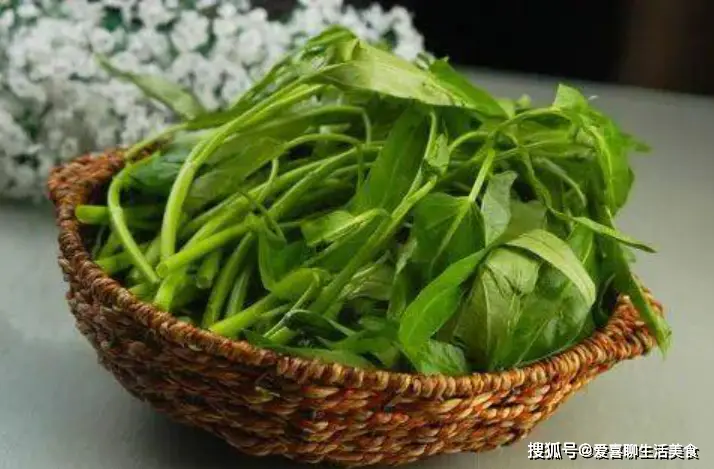 文章配圖-8