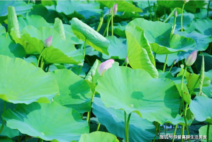 文章配圖-12