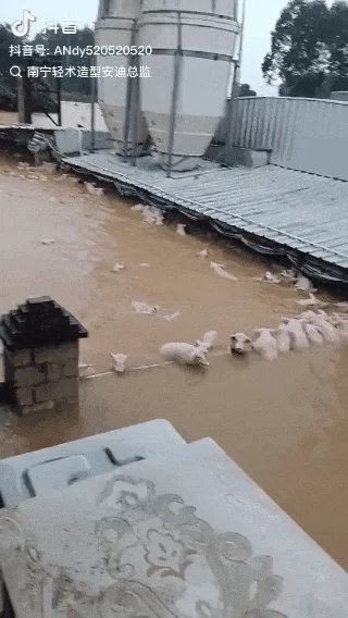 請把目光分一點給洪水,廣西,挺住