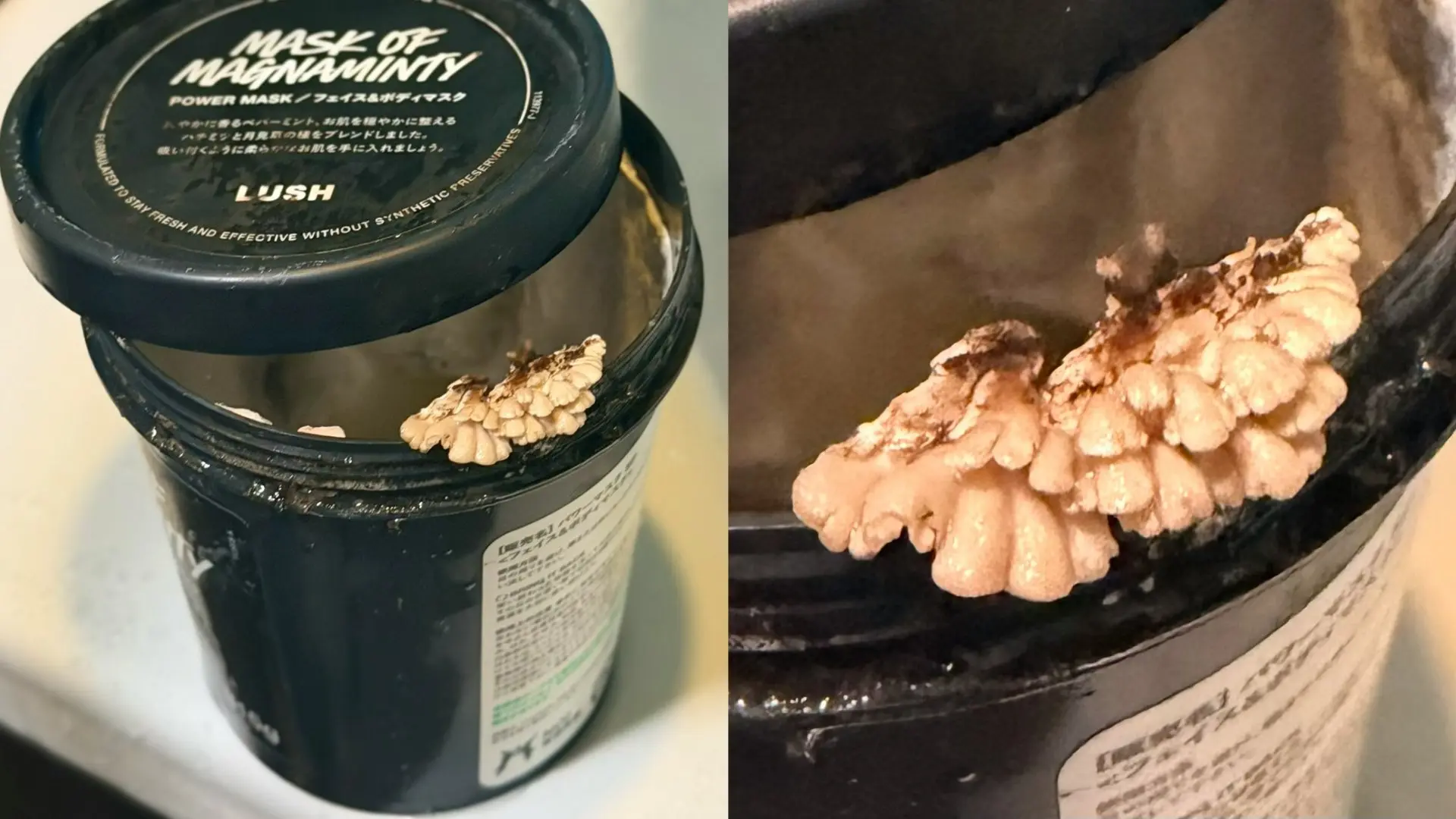 好嚇人：出差5日 他驚見天然護膚品長出這東西…