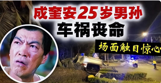 「大傻」去世15年後,兒子入獄孫子身亡,王晶曝他舊事:是狠角色