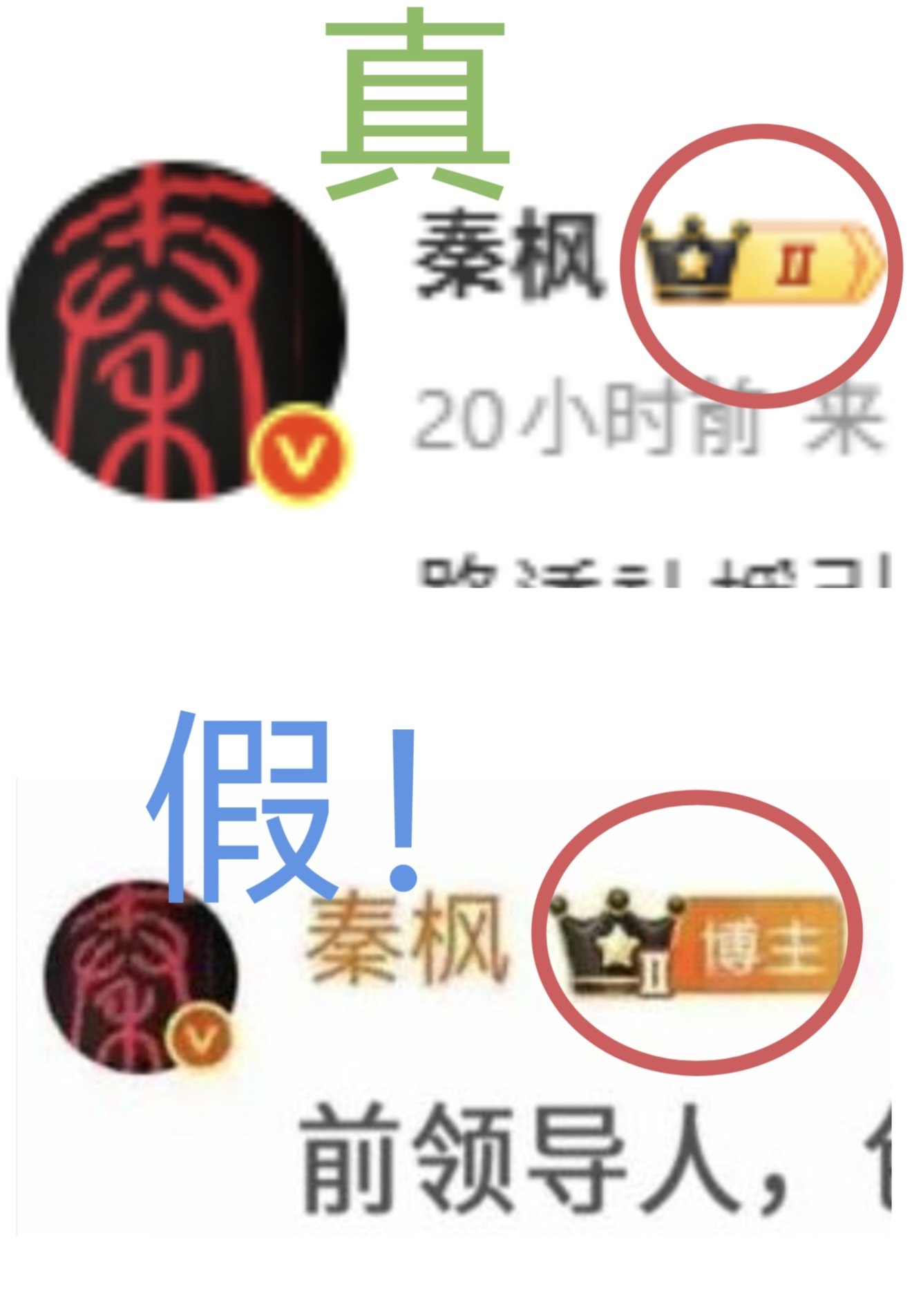 （網路截圖）