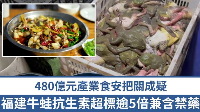 中国爆毒牛蛙！抗生素超标逾5倍还藏禁药