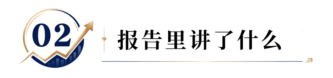 美國企業154頁的報告，把國產大模型廠商干沉默了