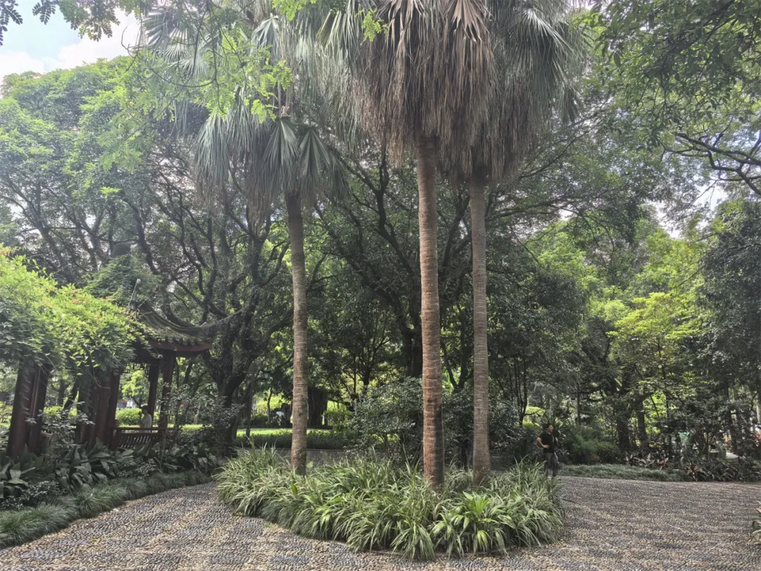 一大批學校,就要發不出工資了