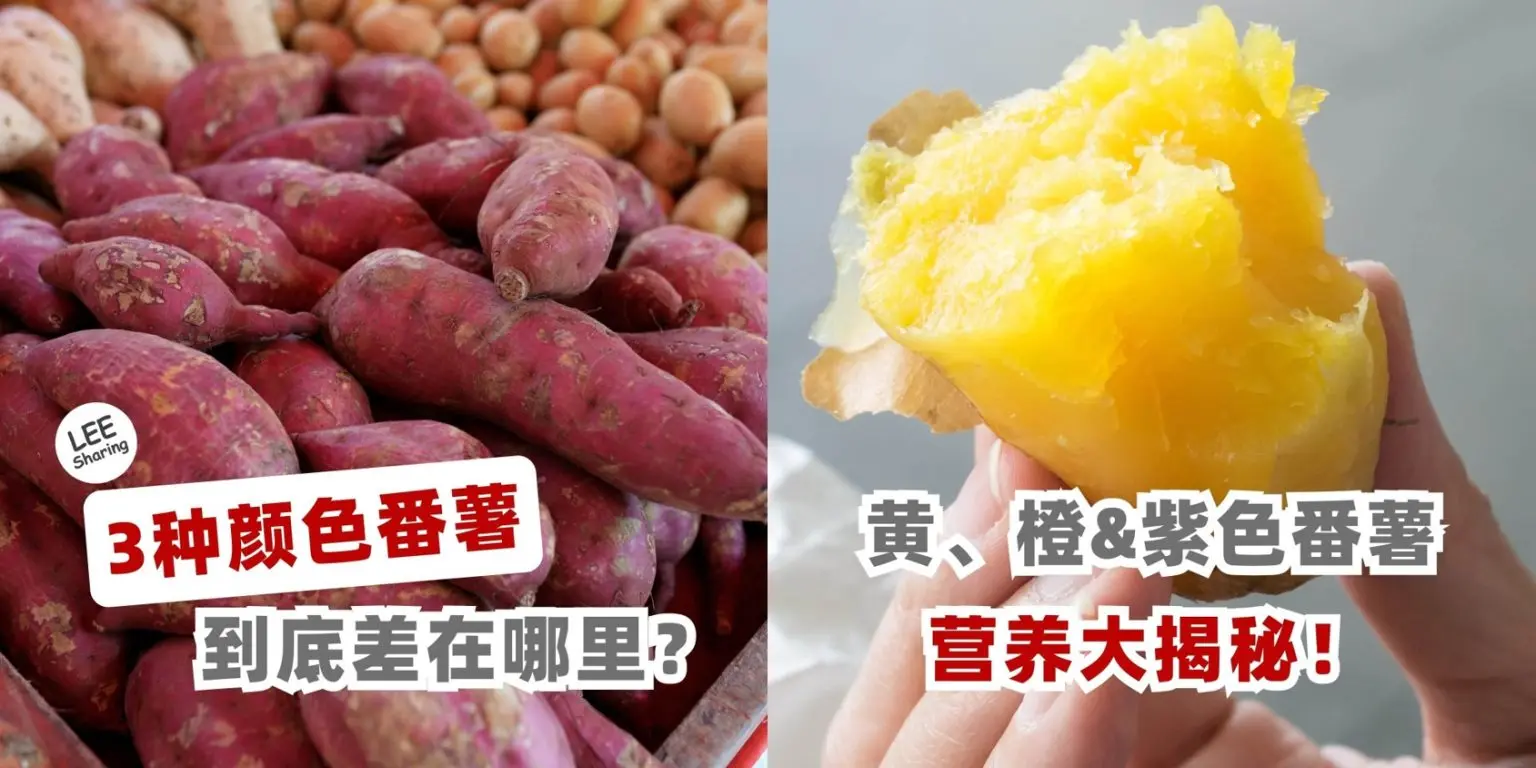 3种颜色番薯有何不同？黄橙紫番薯，营养大揭秘