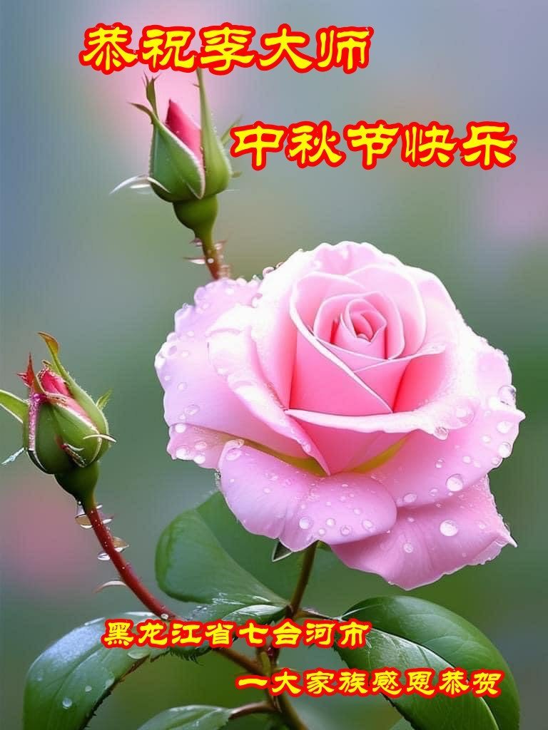 (明慧网)