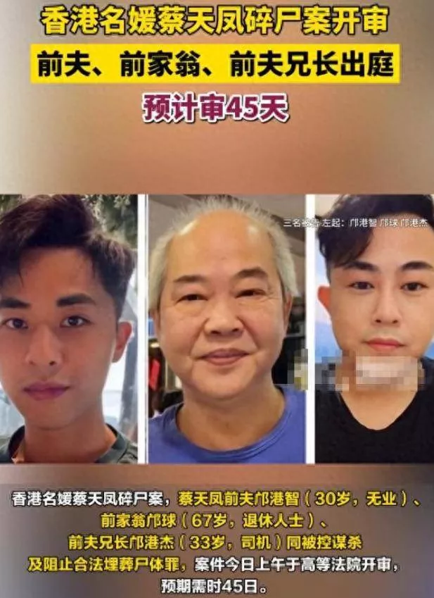 3个凶残的白眼狼!蔡天凤案庭审曝惊悚细节